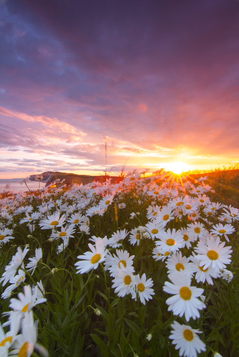 RedFunnelFerry's tweet photo. Happy #Friday travellers! With temperatures set to rise this weekend it's an ideal opportunity to explore the #greatoutdoors 🇬🇧 https://t.co/2qaqu35lCa