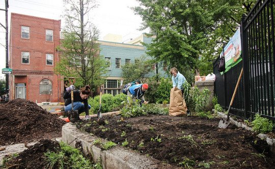 PhilaParkandRec's tweet photo. Help make #SouthPhilly's parks cleaner and greener by signing up for these #LOVEYourPark Week events! https://t.co/Emt9o2QNLC https://t.co/Ra9jyv2FDo