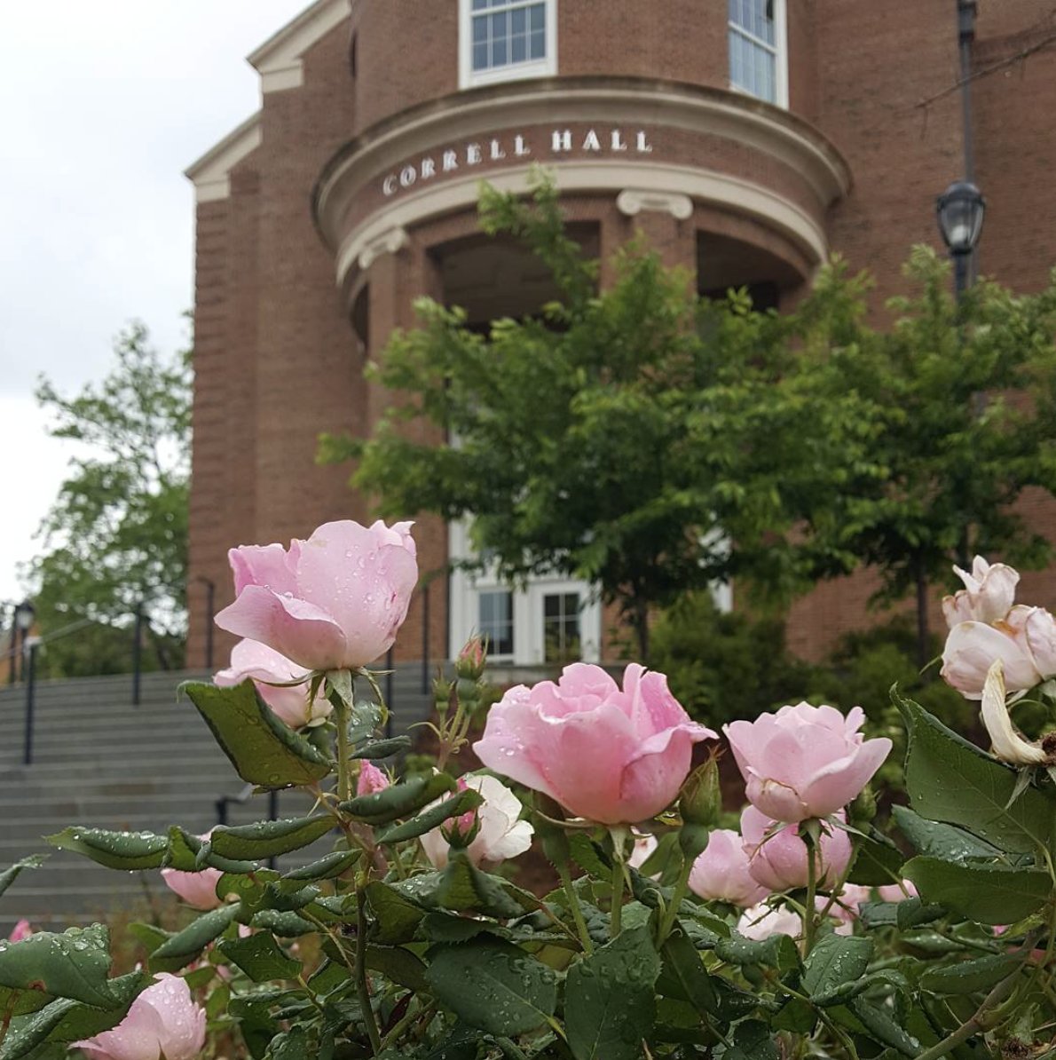 Terry College | UGA (@terrycollege) on Twitter photo 'It may be overcast, but our hearts are filled with sunshine.' - <a href="/GeorgiaMBA/">Georgia MBA</a> getting ready to launch a new generation of leaders! #TERRY17 'It may be overcast, but our hearts are filled with sunshine.' - <a href="/GeorgiaMBA/">Georgia MBA</a> getting ready to launch a new generation of leaders! #TERRY17