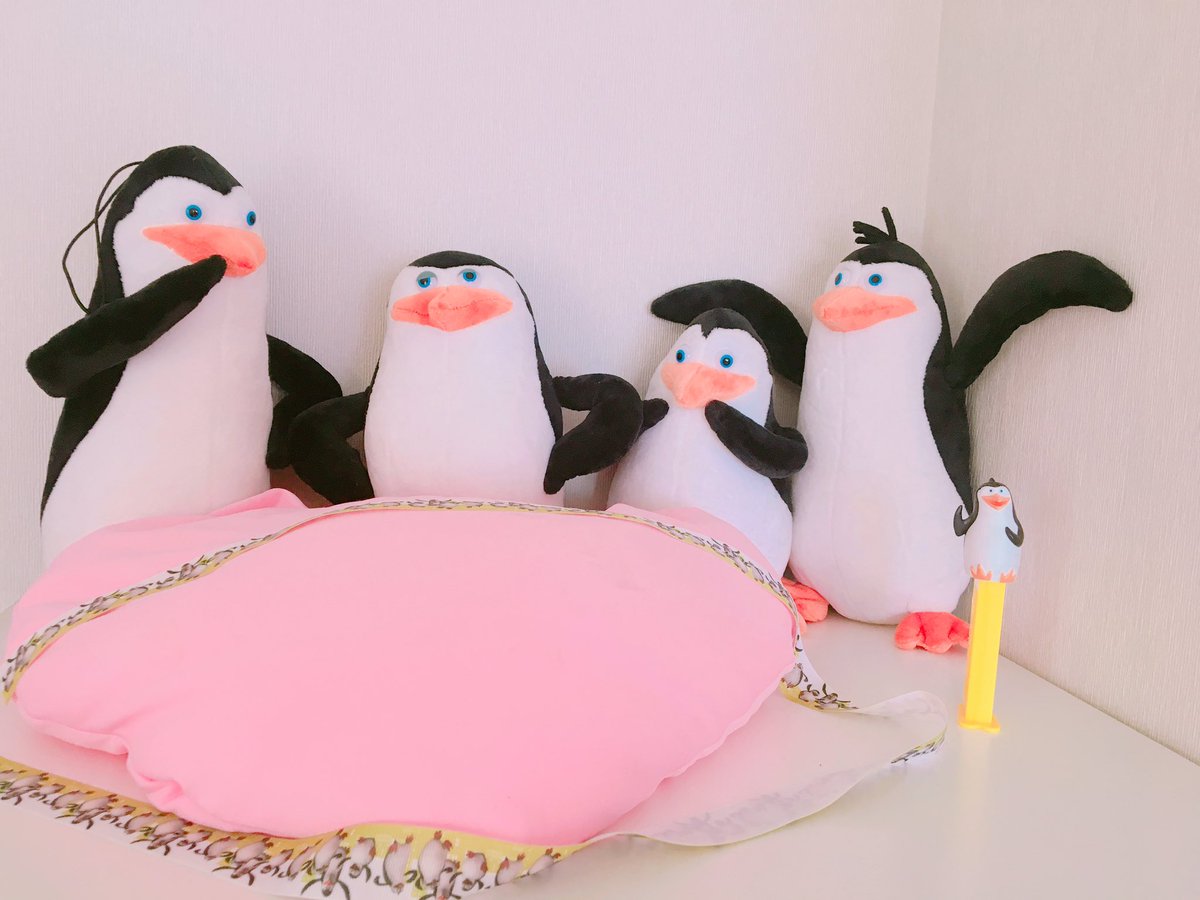 沙弥香 S Penguins04 Twitter