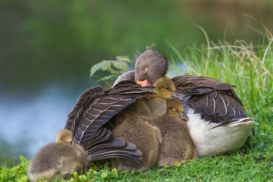 ramblingsloa's tweet photo. May my heart be your shelter, and my arms be your home.

Marianne Williamson https://t.co/vAWVIgzWMe