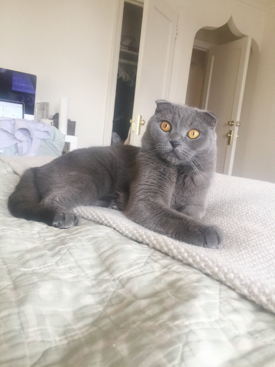 Serenity Discko tweet media