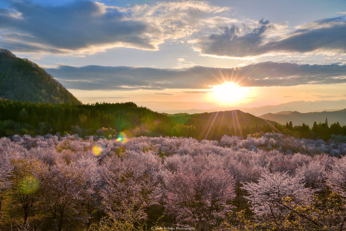 kojidai1222's tweet photo. 福島で圧巻の星空と桜を���喫してきました。
桜峠は本当感動でした。
#うつくしま #天の川 #桜 https://t.co/9kR75Fn7RQ