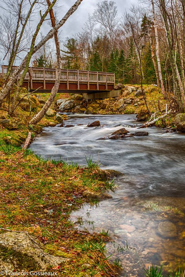 LocalCaptures's tweet photo. Leffert's Pond, Chittenden,VT #getoutside #phototours #vermont #thephotohour @thephotohour @photoblggr #photooftheday #500pxrtg #BBCLocalite https://t.co/E3gtsi6DAu