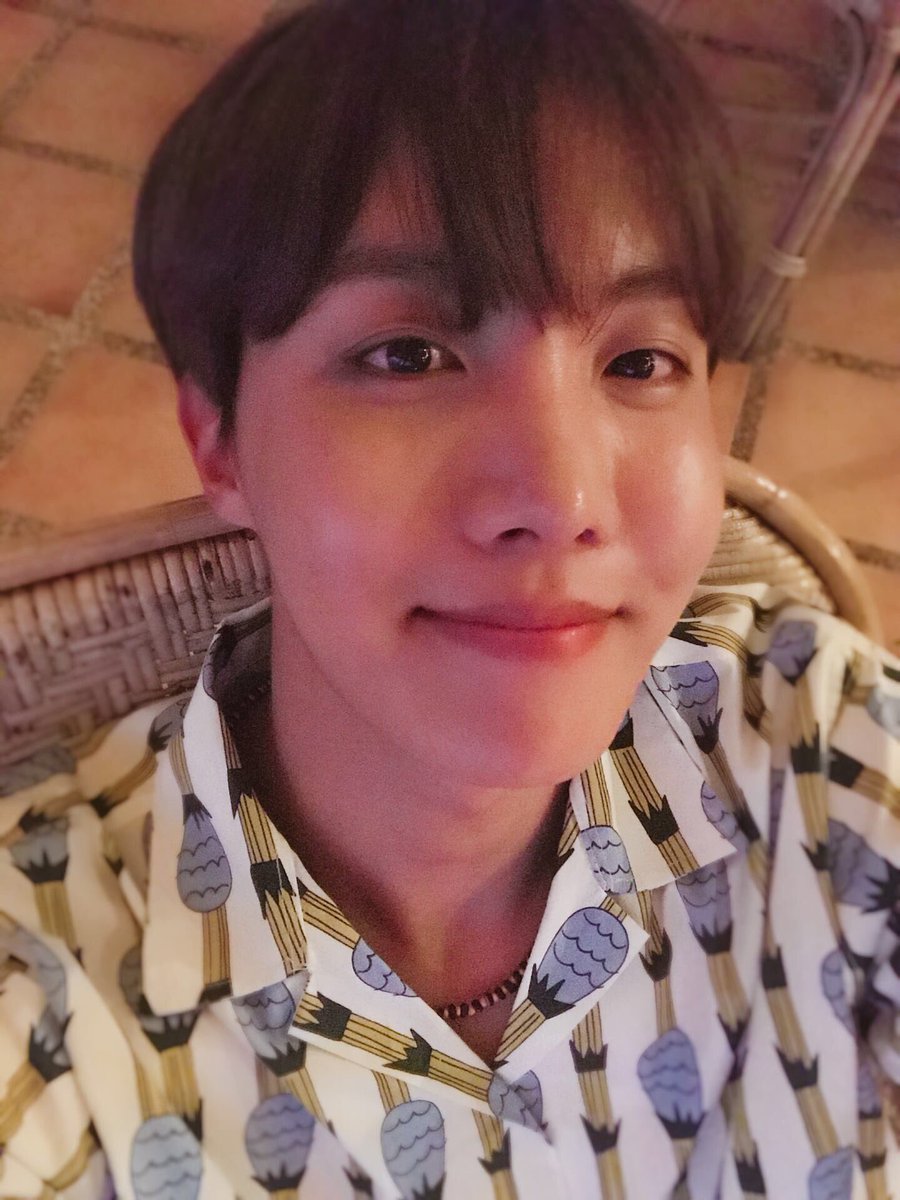 worldbtsbr's tweet photo. [VLIVE CH+] Hoseok postou "Hoje é dia das crianças 😝😙🐶" https://t.co/iVRZLa7PiN