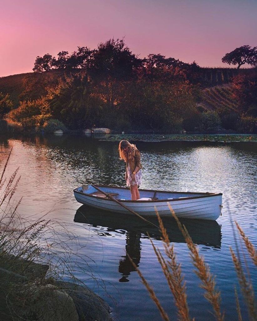 "Magic hour" at the vineyard. Stunning shot by @fullframefotos for an <a href="/sblifeandstyle/">SB Life & Style</a> shoot! ift.tt/2pgUzOG