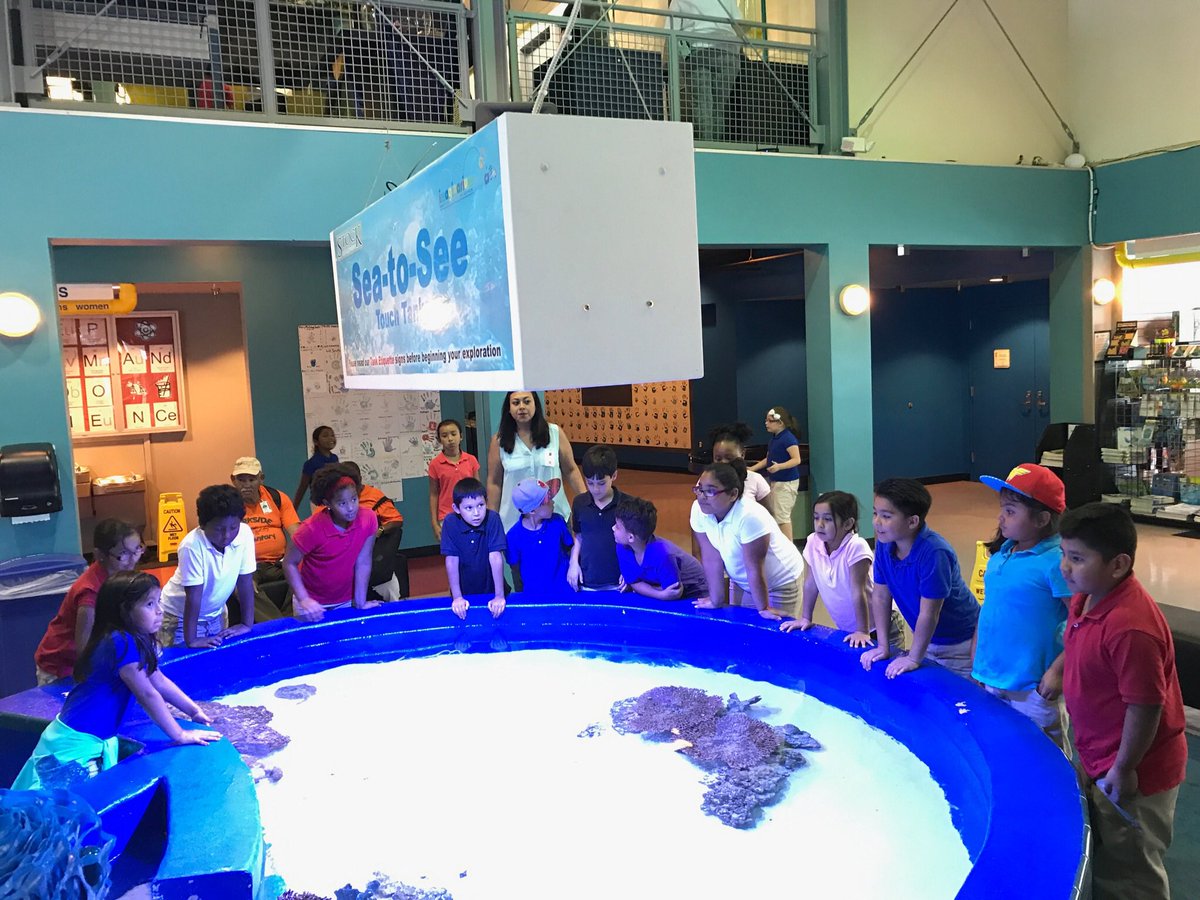 grade2pse's tweet photo. Field trip to the #imaginarium in Fort Myers! @ParksideProud #ccpssuccess https://t.co/NdWgIGKiyJ