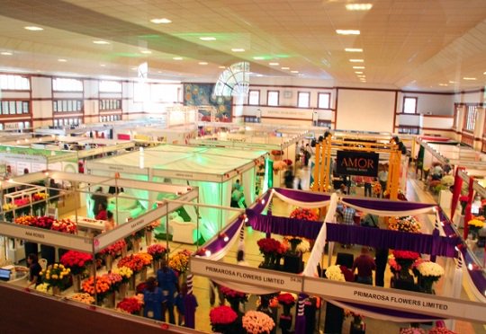 #Kenya set to host over 5,000  #flower growers and buyers for the sixth year in a row #IFTEX2017 shar.es/1FAxUt via <a href="/africabizz/">AfricaBizz</a>