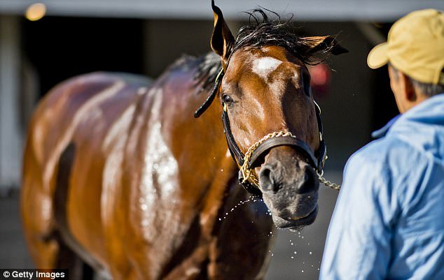 PatchHorse's tweet photo. “He’s an underdog with a disability, but he doesn’t let that disability keep him on the sidelines.” @jeanninee12 on @GMA Photo @GettySport https://t.co/7W73Bxtj6d