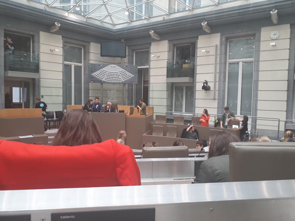 IneHapers's tweet image. #Vlaparl #plenum17 #Kras #debat