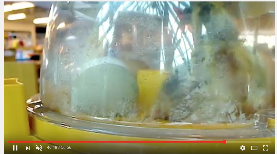 Community Library tweet media