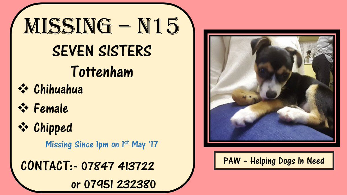 #sevensisters #tottenham #N15 #chihuahua @MPSSevenSis <a href="/our_tottenham/">Our Tottenham</a> <a href="/totterscollect/">Tottenham Collective</a> @MPSTottHale facebook.com/groups/PAWhelp…