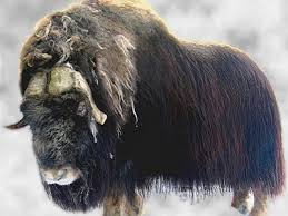 <a href="/Edward733/">ஜ۩ღEdward Simღ۩ஜ 심상갑</a> <a href="/Dollhouse/">Niki</a> <a href="/Top237cat/">Topcat</a> <a href="/SSscoop475/">❤Scott S Cooper❤</a> <a href="/vairton5550/">vairton</a> <a href="/wanderingstarz1/">Vincent Steele</a> @PapaPorter1 <a href="/OnlyGod85908339/">OnlyGodCanJudgeMe</a> <a href="/victoria_victo3/">victoria</a> <a href="/AfterEight13/">⭐Absolutely⭐</a>