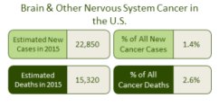 TumorWarrior's tweet image. Very scary math that clearly show the need for the funding of more brain tumor research #BTSM
