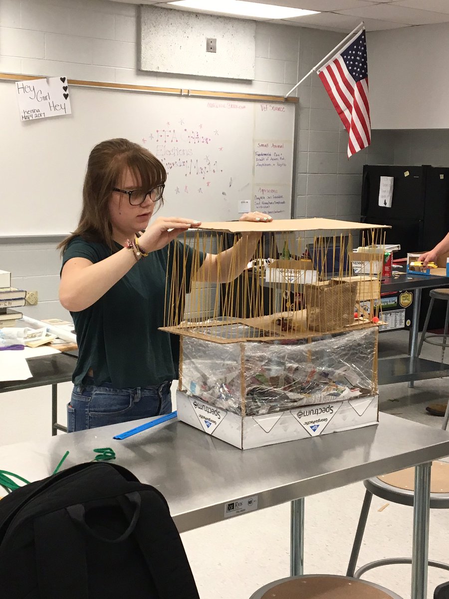 dbhs_ffa's tweet photo. Students working hard to make models of small animal habitats. Some awesome creativity at work! #OneTribe #FFA #smallanimalcare https://t.co/sEHUpD3x1I