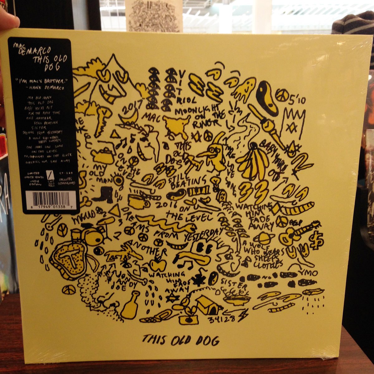 RockShopPA's tweet image. Today is the day! @macdemarcosband This Old Dog is now available! Hurry in and grab a free promo poster courtesy of @capturedtracks !