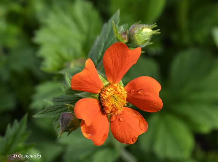 @j_hidalgo89 @KiddleJoyce <a href="/Dollhouse/">Niki</a> <a href="/bigjockd/">john darling</a> <a href="/promostking/">PROMOSTKING</a> <a href="/KVajpayaee/">KATYAYAN VAJPAYEE</a> <a href="/JosOchoa16/">José Ochoa</a> @alwasagentleman <a href="/MiluRamalho/">Milu Ramalho</a> <a href="/shoteck/">Sascha #TɛaʍUռɨɖօS</a> <a href="/cattina3/">❤Cat❤FHC3❤🦄</a>