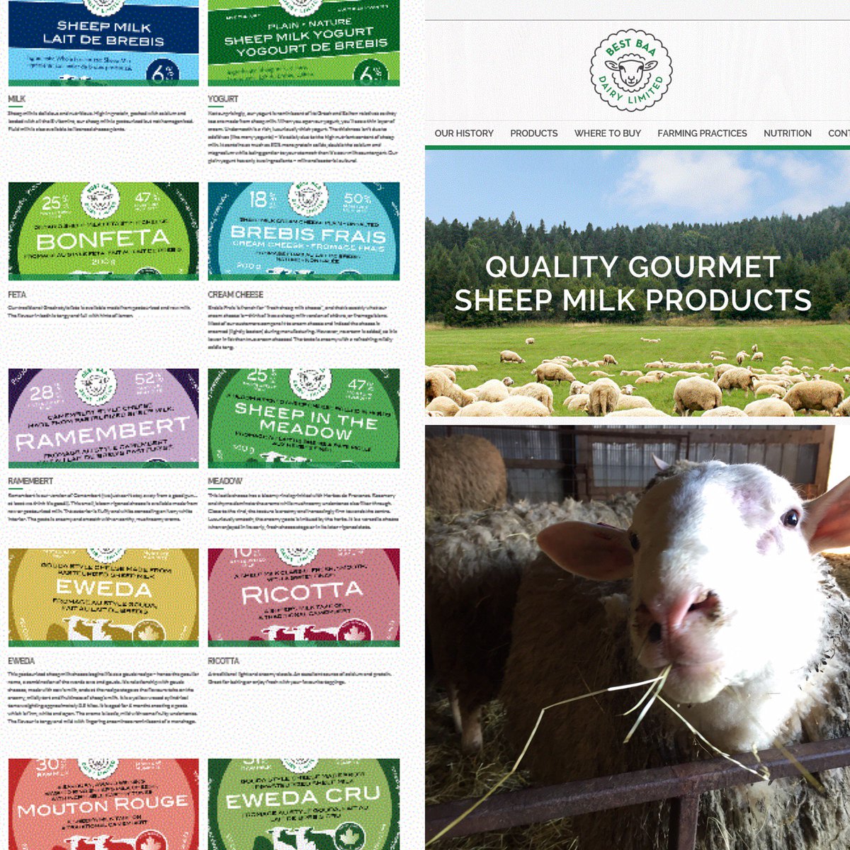 Our new website is up! Please check out the fabulous work of <a href="/paintedrobot/">PaintedRobot</a> and <a href="/theblondesinc/">The Blondes</a> !