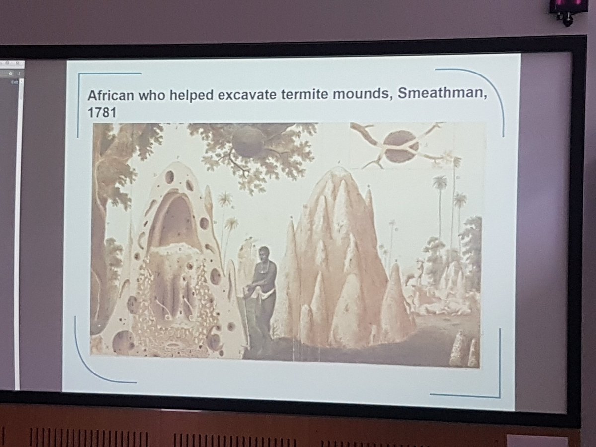 PlantHums_UK's tweet photo. Today’s blog post is inspired by a rousing talk on narratives in natural history
interpretation @Nat_SCA #NatSCA2017
https://t.co/GZugGvapub https://t.co/deIQPOSqfB