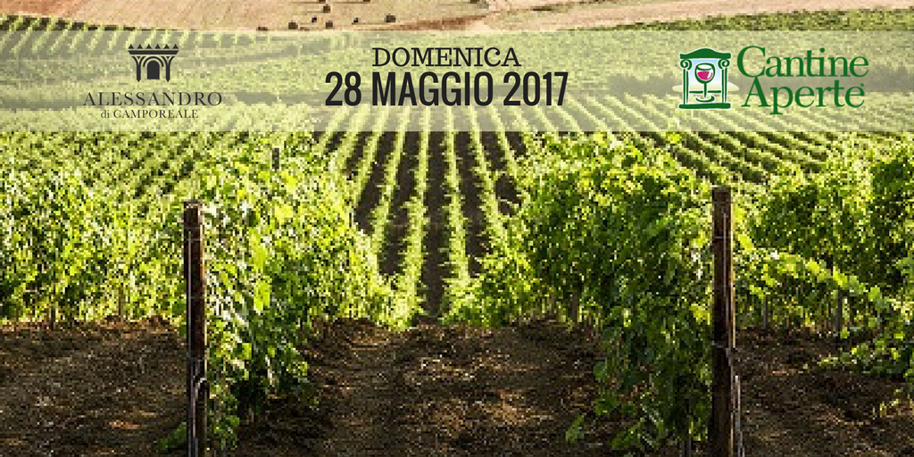 AdiCamporeale's tweet photo. Manca poco a #CantineAperte 2017! Degustazioni e musica dal vivo in cantina vi attendono! Il programma completo su https://t.co/AN4Dfh7hvR https://t.co/aktBQaQVVE