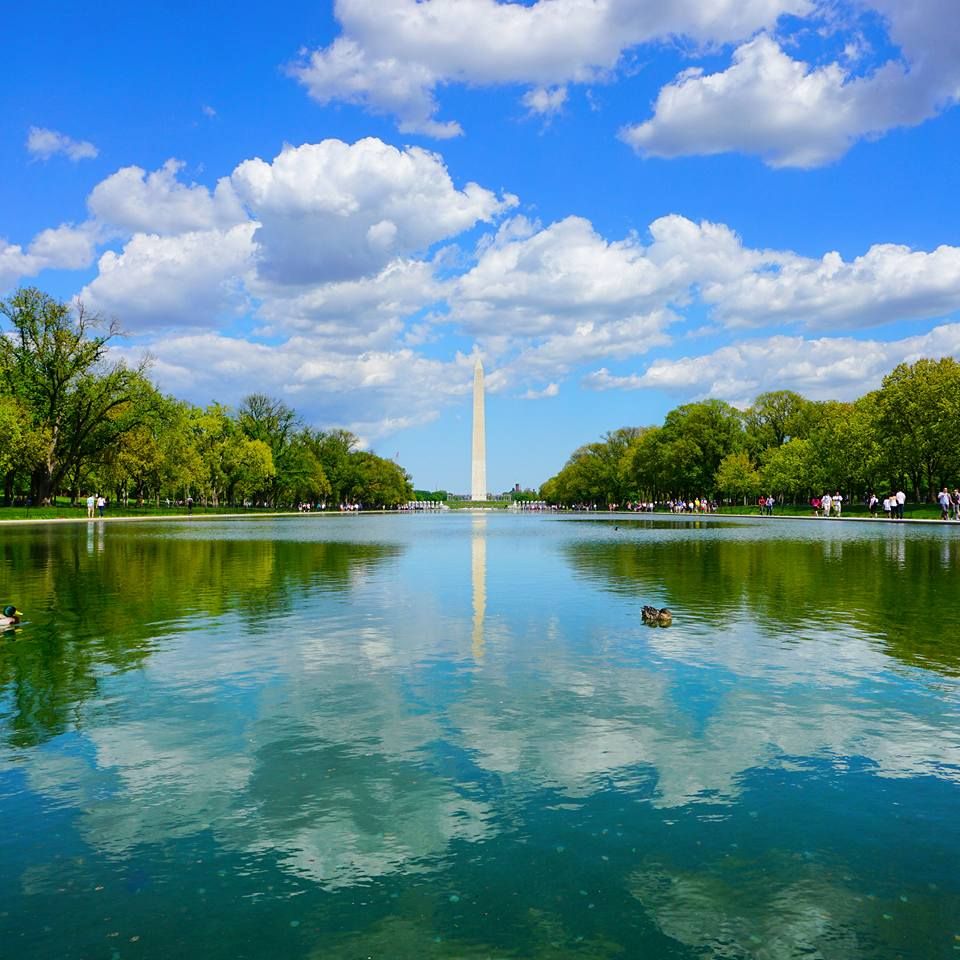 SightsyTravel's tweet image. 10 Things I Wish I Knew Before My First Trip To Washington DC via @MintNotion buff.ly/2pWF1QU #SightsyFavoriteBloggers #DCBlogs