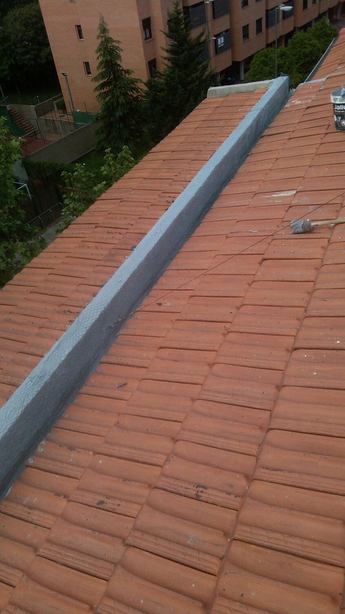 Emvertical tweet picture