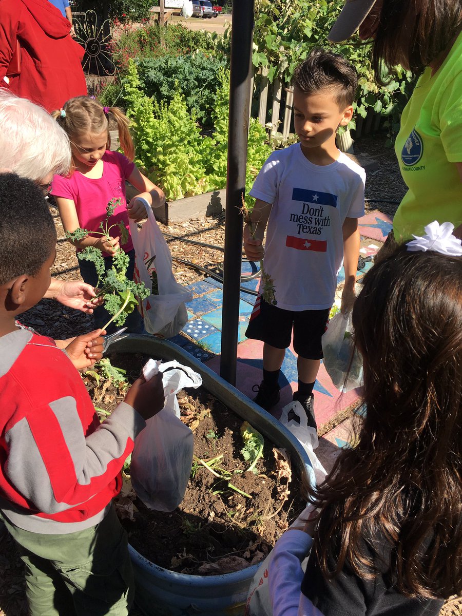 EcholsFirsties's tweet photo. Harvest Day! @WoodwayElem #plantingwithmastergardeners #firstgrade https://t.co/c2pkExX7ZP