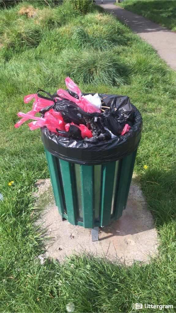 theanimalsitter's tweet photo. Pontypridd common council need sort Got a cheek to complain about dogs poo!  #OverflowingBin @RCTCouncil @littergram https://t.co/UfW22gJkB9