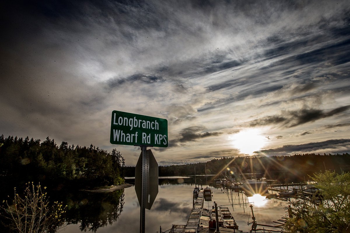 dmontesino's tweet photo. Light after the storm #Longbranch #SpringInWashington https://t.co/tj3FNdLFPw