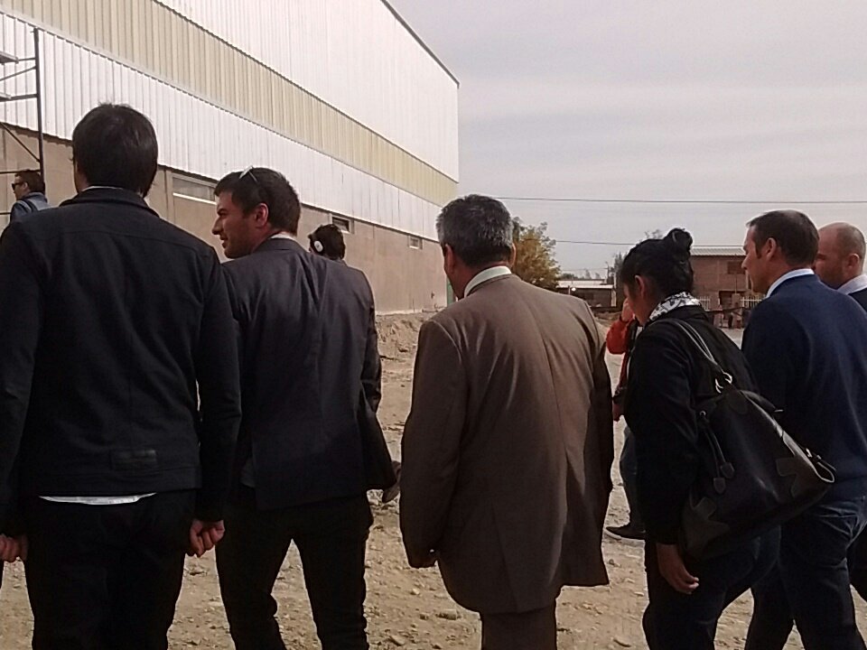 Municipio de Centenario tweet media