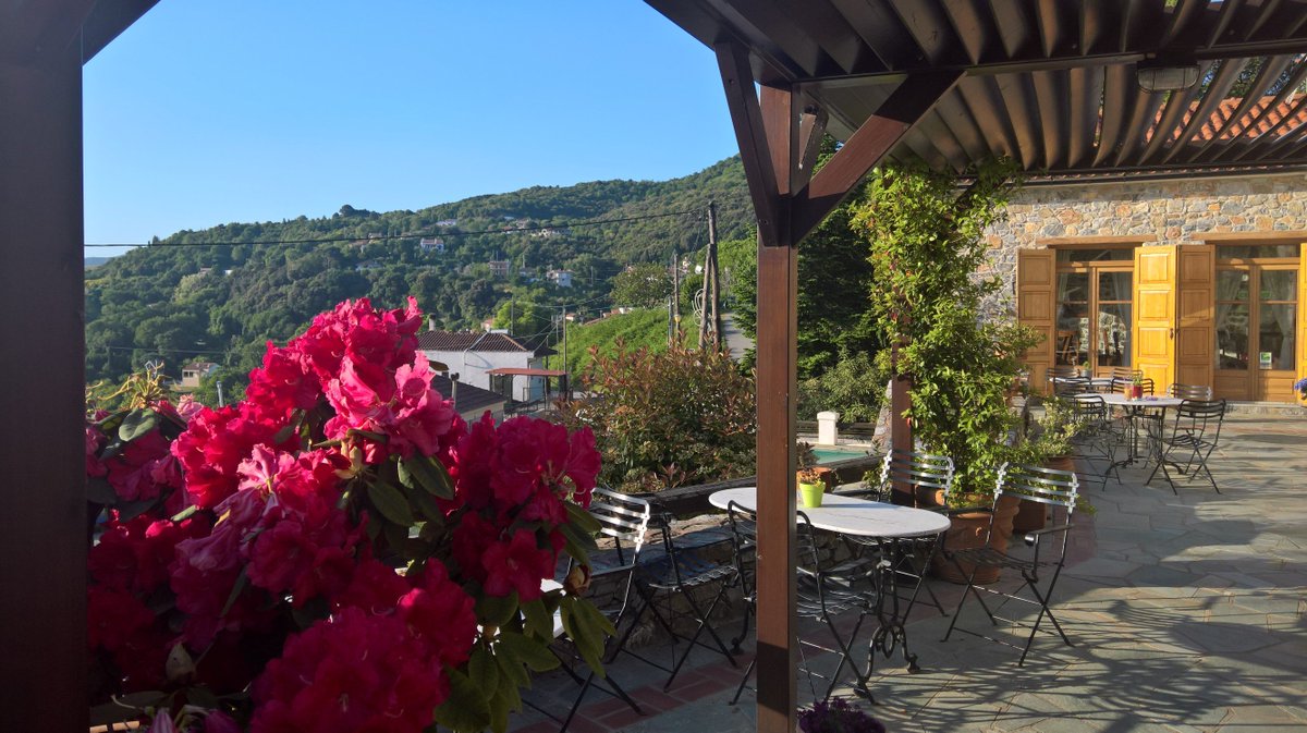 EOS_Guesthouse's tweet photo. Summer is comming.... #eosguesthouse #skiti #Greece #nature #garden https://t.co/CddF7qE7W1
