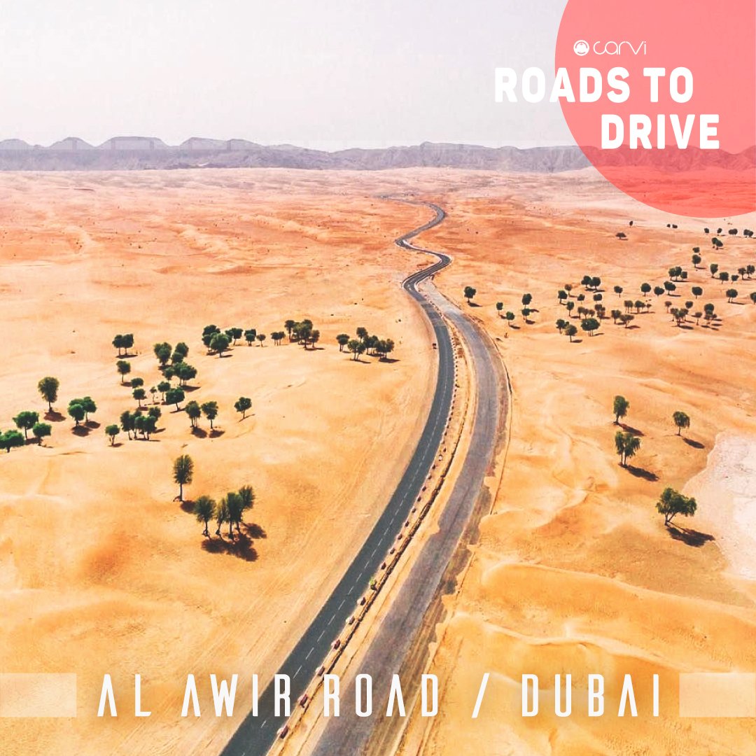 GetCarvi's tweet photo. Al Awir Road,Dubai.
#roadstodrive #roadtriptips #roadtrip #scenicroads #drive #travel #wander #usaroad #historicroad #bestroadtrip https://t.co/cI1ADG2jjP