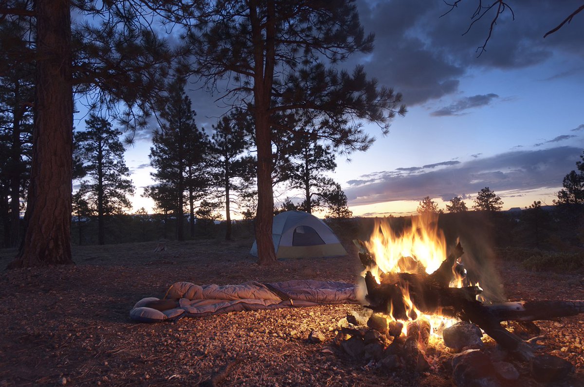 UnitronGlobal's tweet photo. #FavoriteSoundFriday: The crackle of a campfire - submission from Ontario, Canada. Tell us your #FavoriteSound: https://t.co/tvhbWWXUAg https://t.co/Jts8HtbEWL