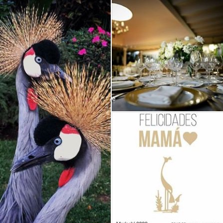 Mamá se merece Las Mañanitas, en su lugar favorito!

goo.gl/5RgFGr