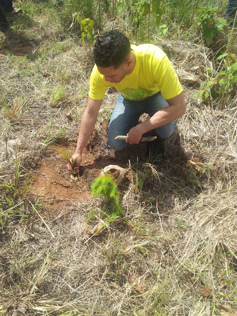 LizaryDickson's tweet photo. #ReforestaPenitenciarioRD #ProcuraduriaAvanzaRD #ModeloPenitenciarioRD
 #MedlioLibre https://t.co/aGkmTIYqjv