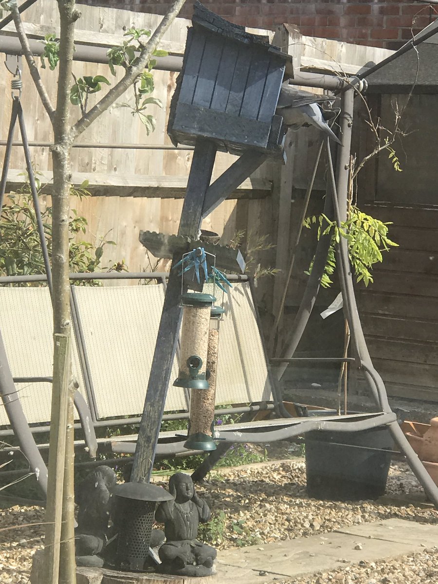 Jesspy7's tweet photo. Leaning birdbox of Southampton #DIY #disaster #LeaningTowerOfPisa #WillItFall #DIYSOS https://t.co/icWF9L7hYC