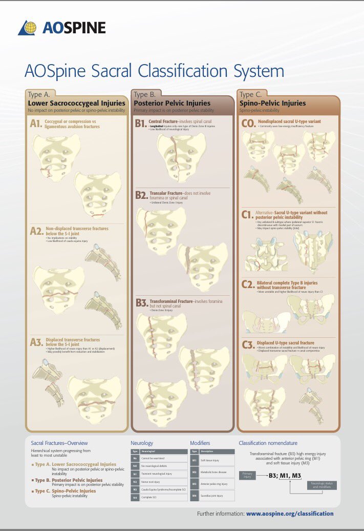 Ao Classification Spine Trauma