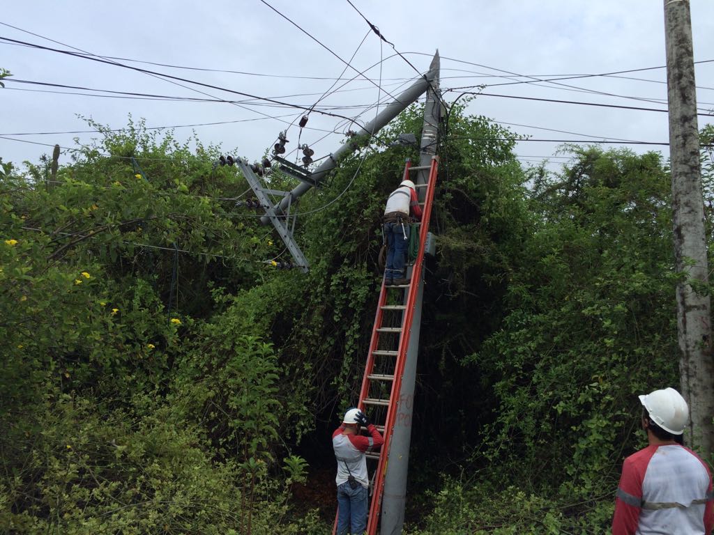 elecgalapagos's tweet photo. Personal técnico sustituye poste en mal estado, realiza matenimiento de red eléctrica y cambio de herrajes en #PuntaEstrada #SantaCruz https://t.co/oX7grjb6kF
