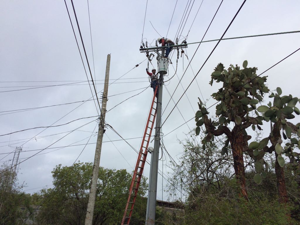 elecgalapagos's tweet photo. Personal técnico sustituye poste en mal estado, realiza matenimiento de red eléctrica y cambio de herrajes en #PuntaEstrada #SantaCruz https://t.co/oX7grjb6kF