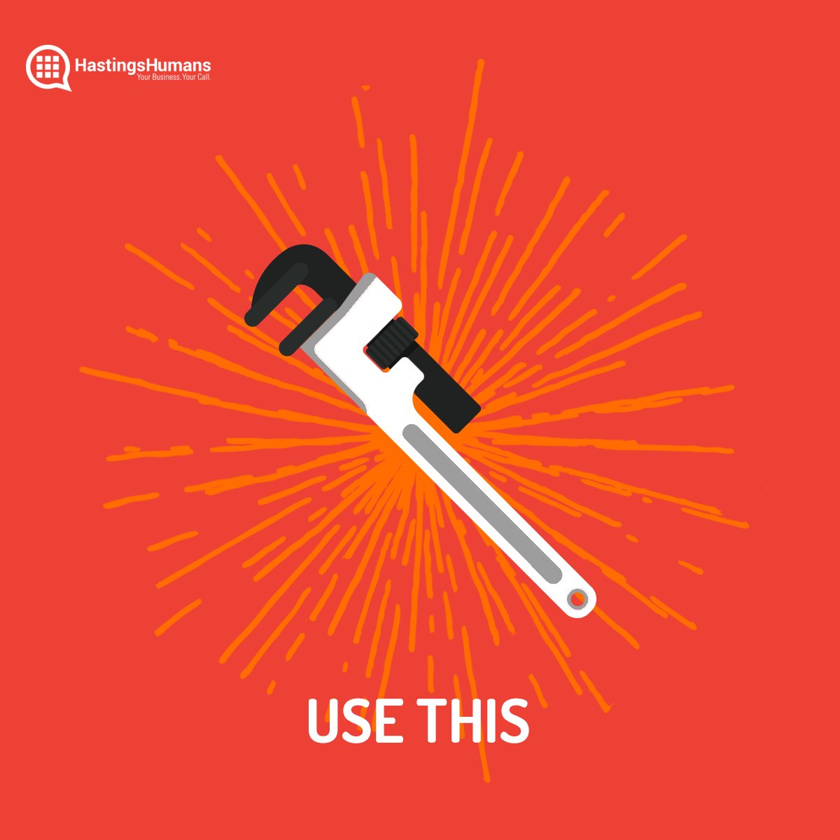 Hastings Humans tweet media