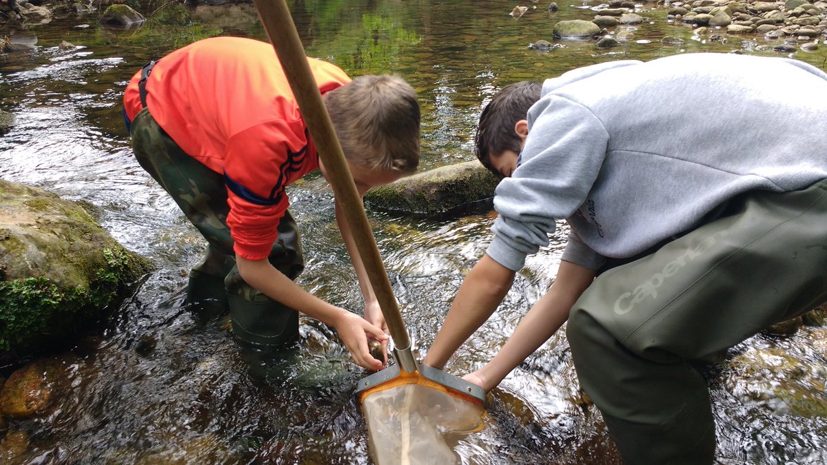 ExploraTuRio's tweet photo. Los más peques siguen dándonos lecciones. Entusiasmo, ganas de aprender y conservar sus #ríos en #Cantabria. CEIP Malacoria (Ibio) https://t.co/zbqwqD4WgI