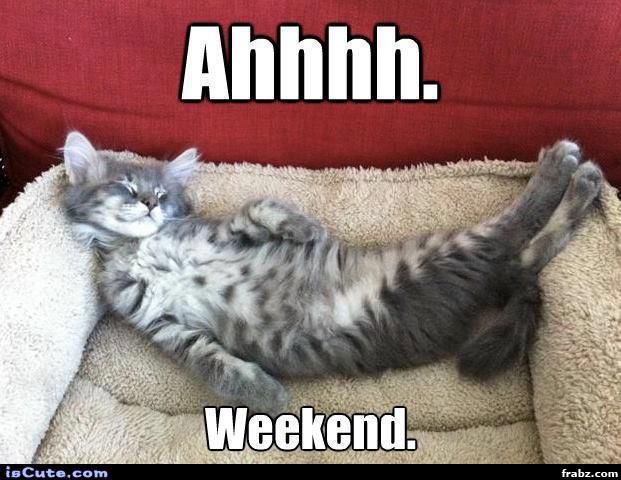 IconWaterloo's tweet photo. Happy weekend Icon! https://t.co/Mp6qGFBxZb
