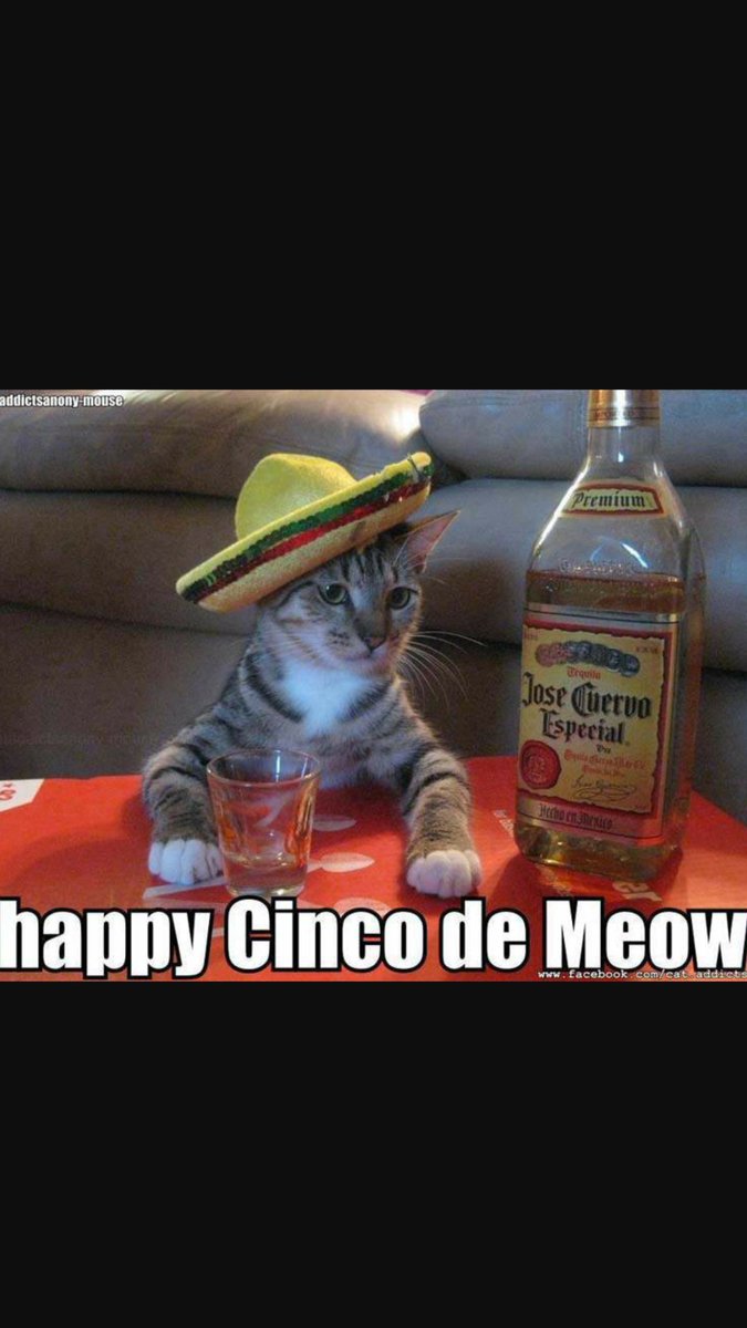 MuckyDuckBrew's tweet photo. #CincodeMayo #beeroclock https://t.co/MiBu1ePW80