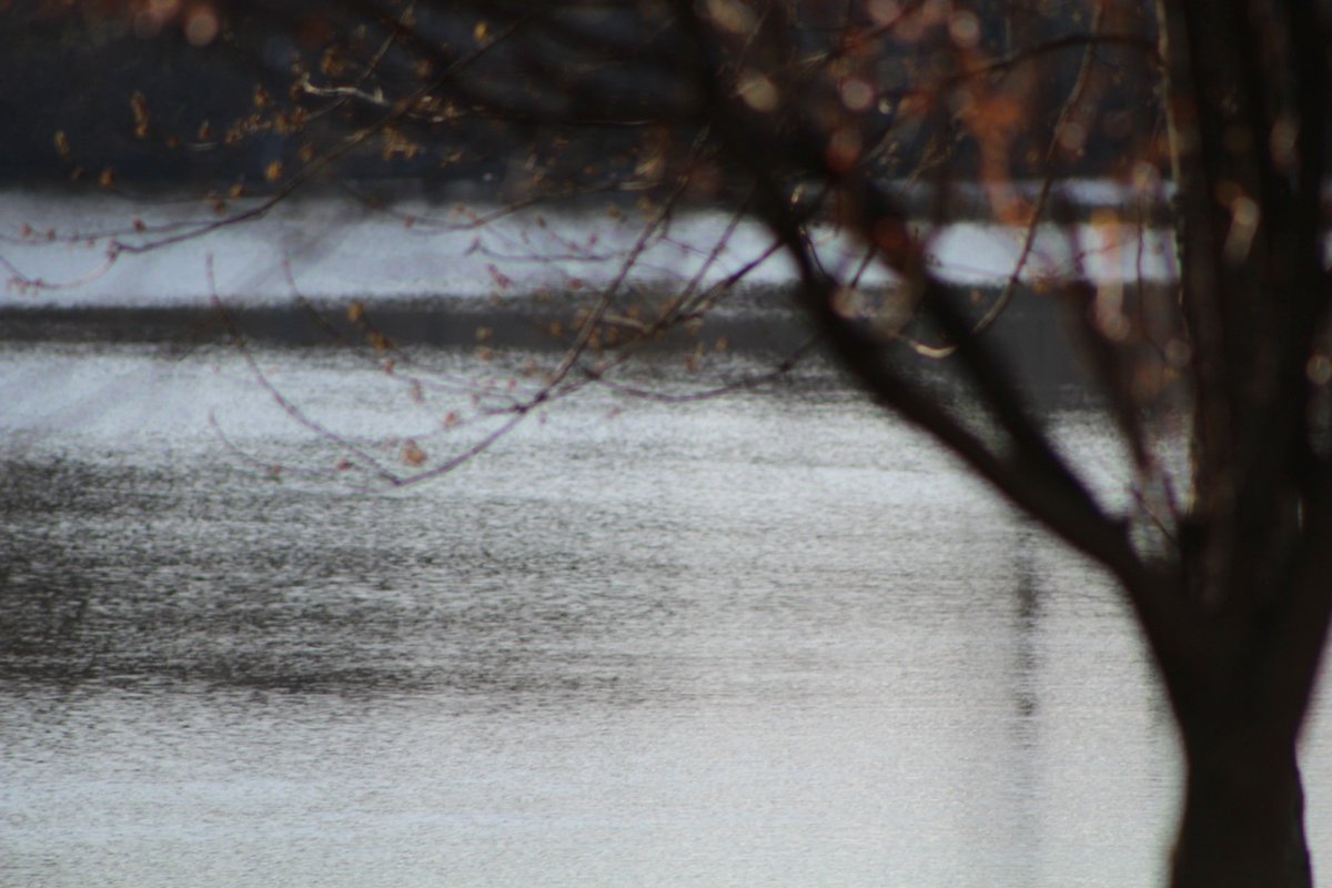 just_hooked's tweet photo. When the rain clears lets go #Fishing #Lakefront #pictureperfect https://t.co/RPS45kIeM5