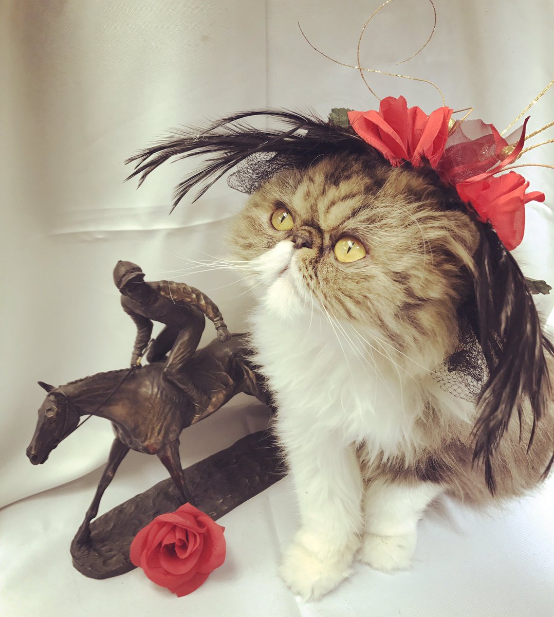 TabbyBack's tweet image. Happy Derby Weekend, y'all! According to @DiaDavidson at @LEX18News a lady's Derby hat must be viewed from all angles 😘🌹🐎