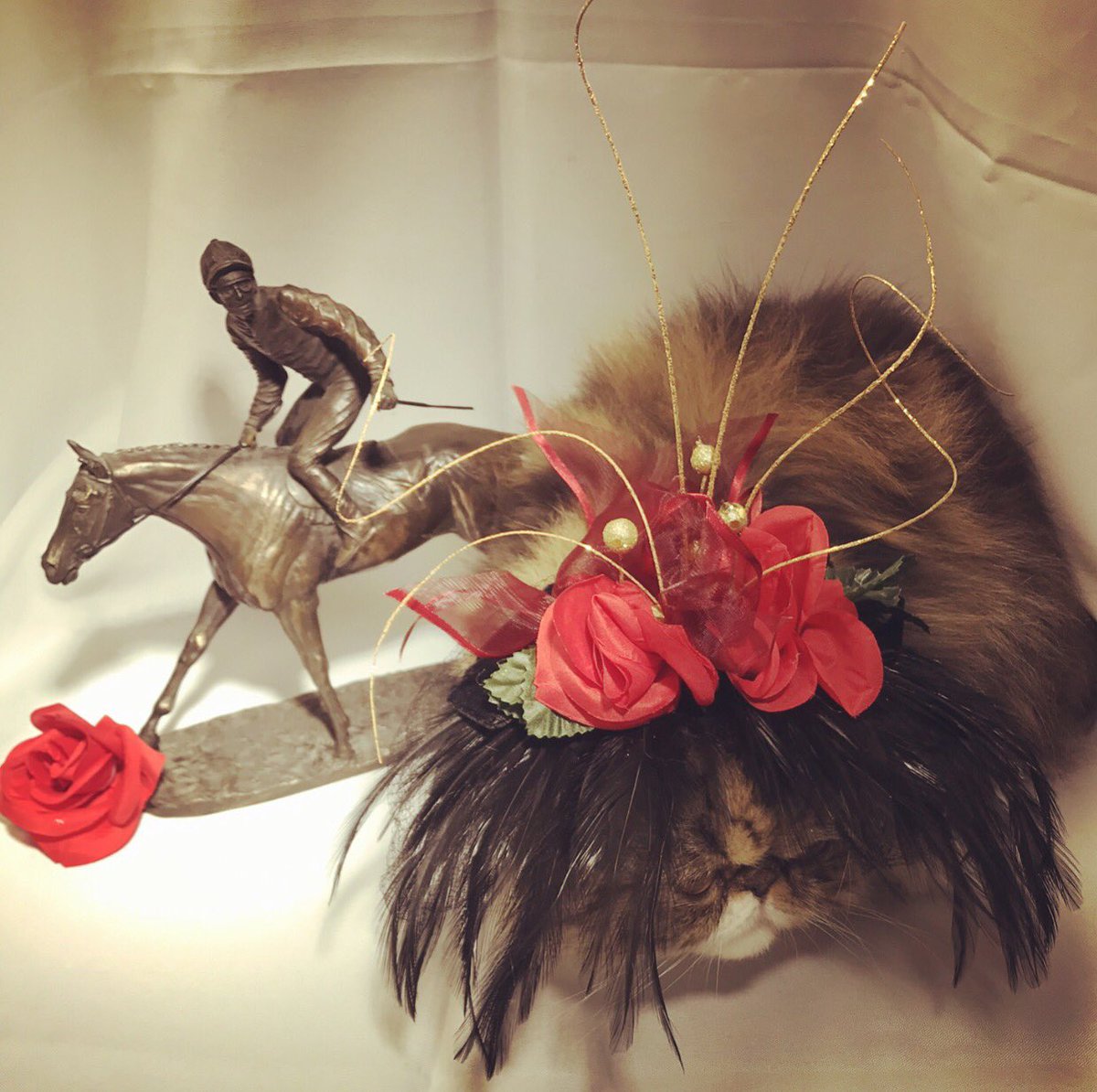 TabbyBack's tweet image. Happy Derby Weekend, y'all! According to @DiaDavidson at @LEX18News a lady's Derby hat must be viewed from all angles 😘🌹🐎