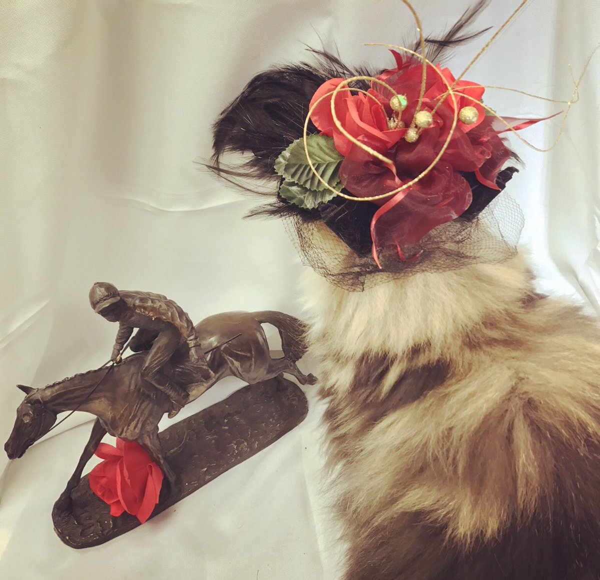 TabbyBack's tweet image. Happy Derby Weekend, y'all! According to @DiaDavidson at @LEX18News a lady's Derby hat must be viewed from all angles 😘🌹🐎