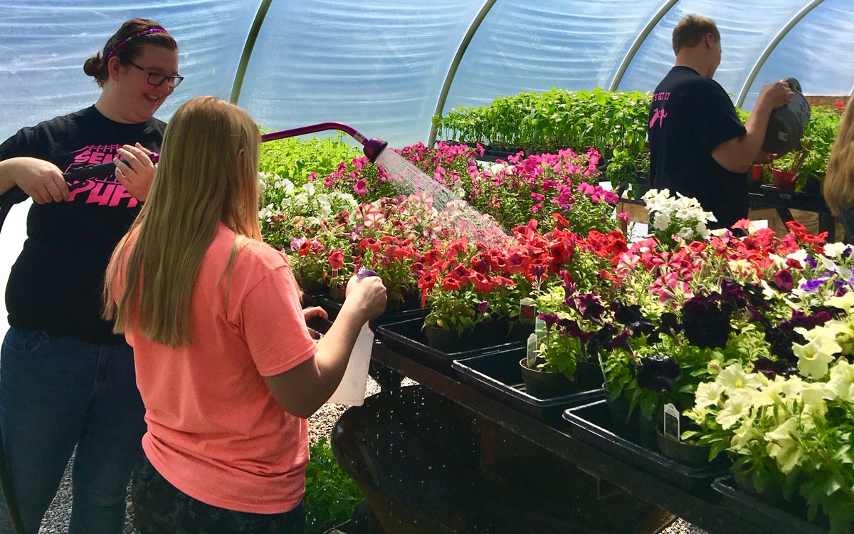 gfwactivities's tweet photo. The #GFWGreenhouse is in bloom!  Beautiful day in #TbirdTerritory!
🌺 🌼 🌿 👩‍🌾 👨‍🌾
@BelindaKARE11 @bobbyjgardenguy @mnarboretum #GFWFFA https://t.co/iMmxmj0ABI