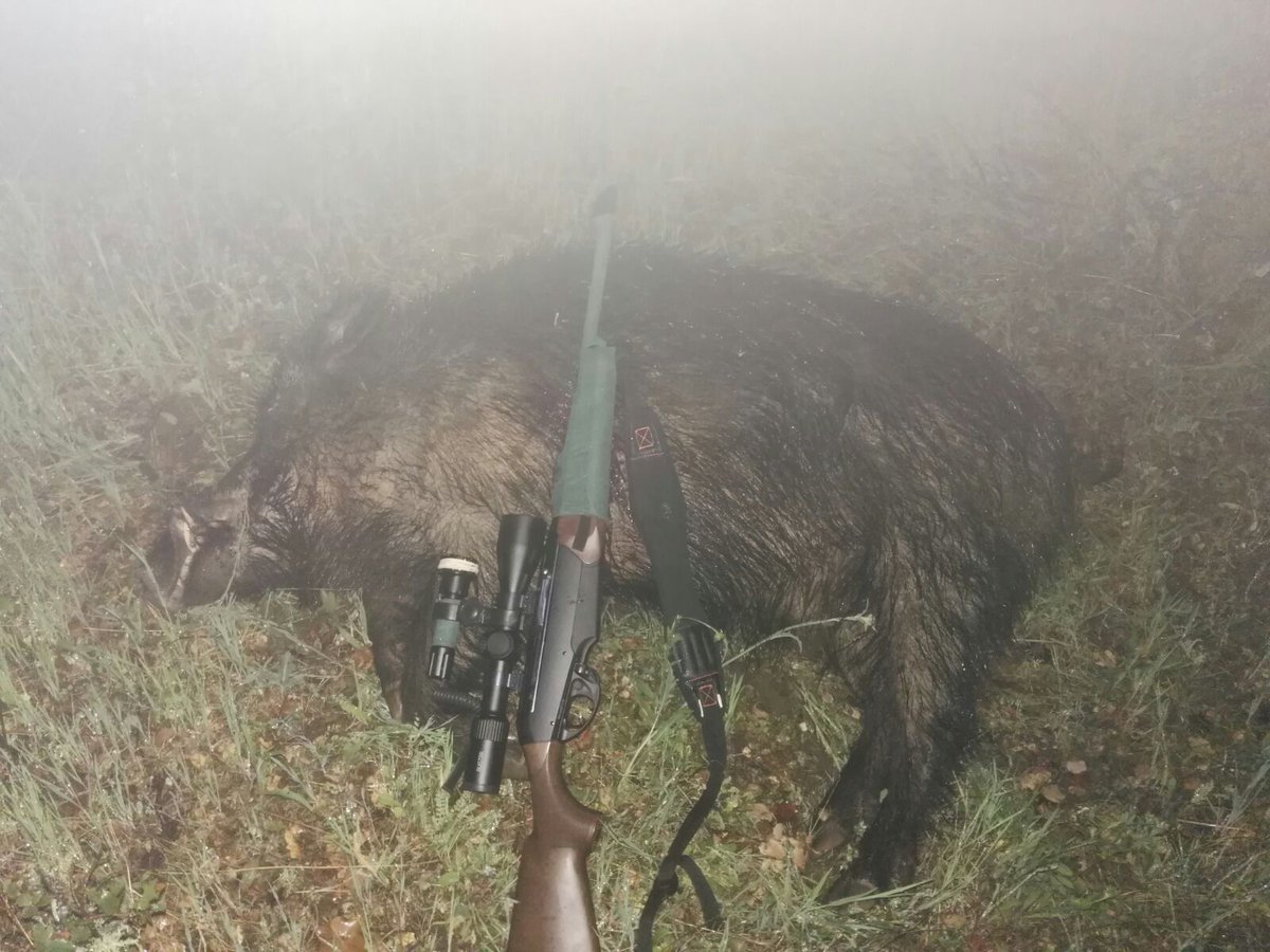 Y quien se.moja....la noche empezo bien y acabado mejor