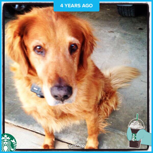 THEkylecrisco's tweet photo. #BestDoggoneDog #RIPPudge https://t.co/cFpht9sgUo